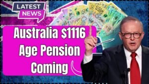 STOP! The $1,116 Pension Rumour is WRONG Your NEW Rate is Actually $1,178.70